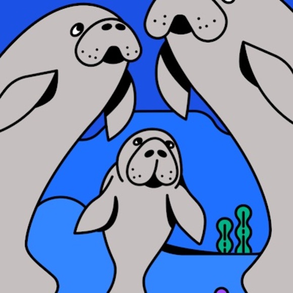 Meet your Posher, Felder - Picture 1 of 1